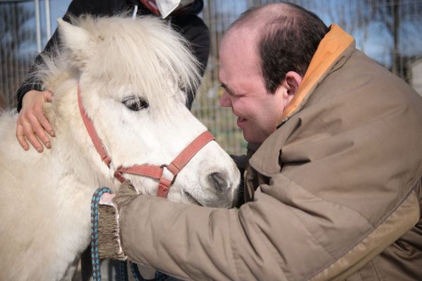 Eine Person kuschelt mit einem weißen Pony.