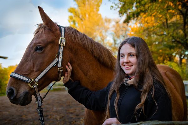 eine jugendliche Person und ein Pferd